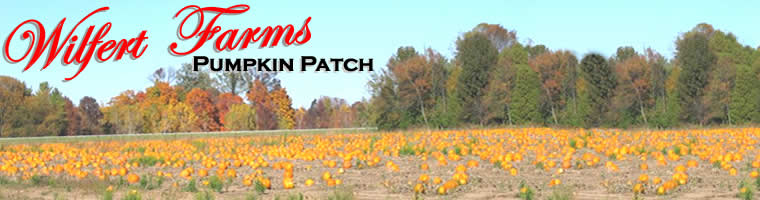 Wilfert Farms Pumpkin Patch