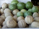 Tasty canteloupe and yellow watermelon just waiting for you!