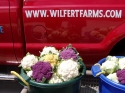 Colorful Cauliflower makes an interesting additio n to your table!