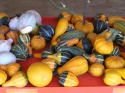 We offer a wide variety of guords to make decorating fun!
